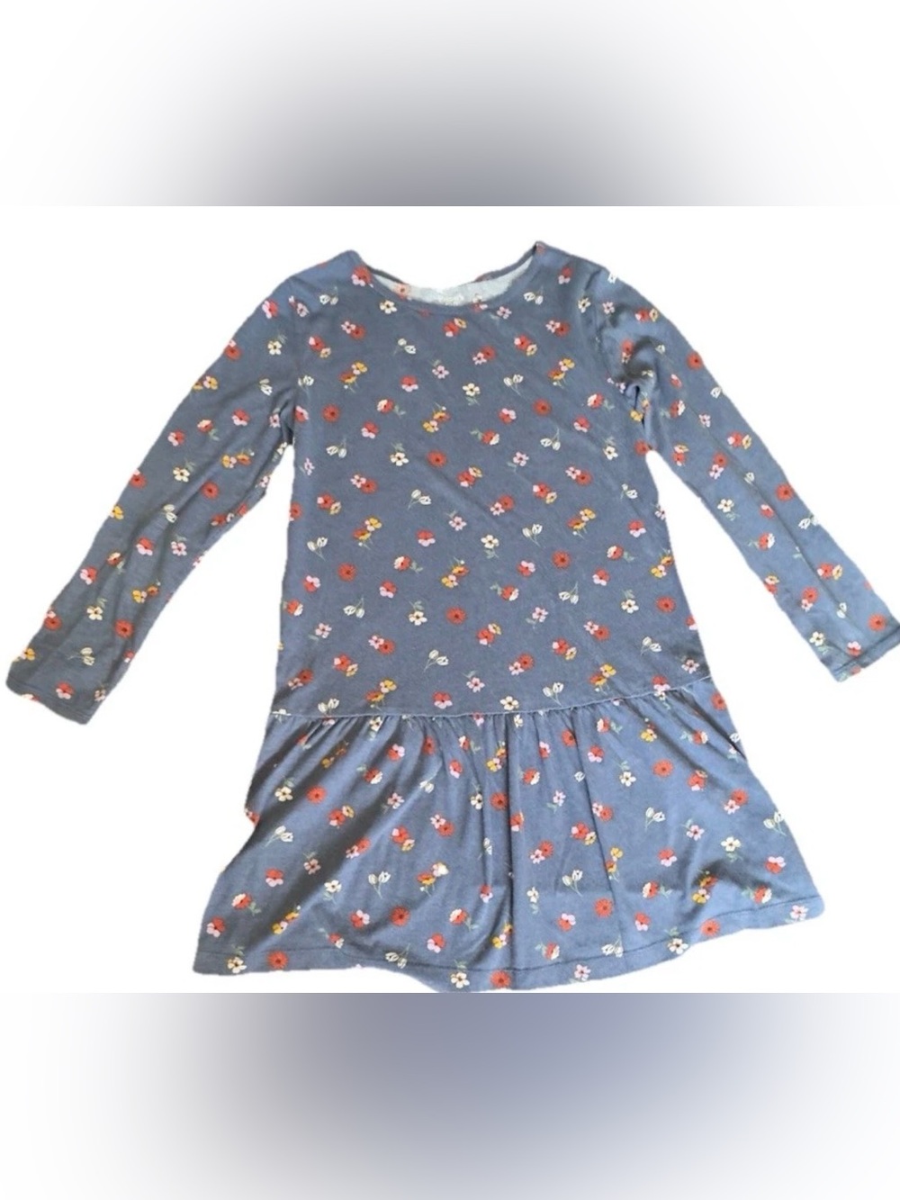 Blue Floral Long Sleeve Drop Waist Dress